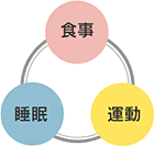 �H���E�����E�^���̃X�p�C����